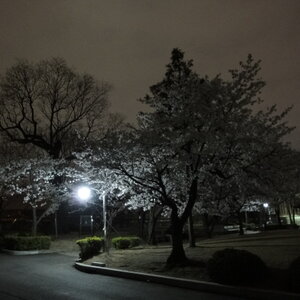 [DSC-WX1] 006.jpg